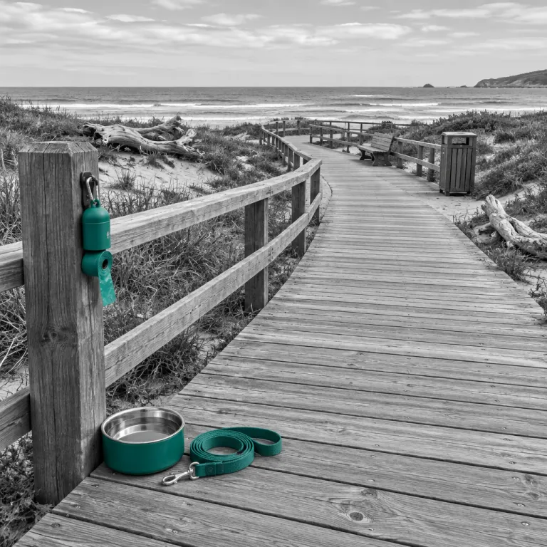World Tourism Day, Read From the Leash: What Responsible Travel Actually Asks of the People Who Bring Their Dogs