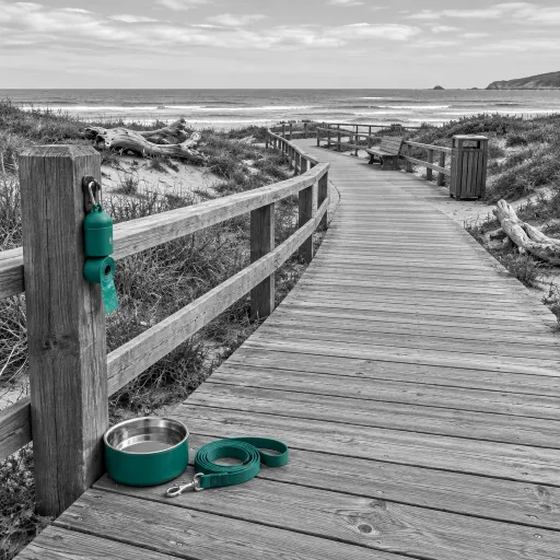 World Tourism Day, Read From the Leash: What Responsible Travel Actually Asks of the People Who Bring Their Dogs