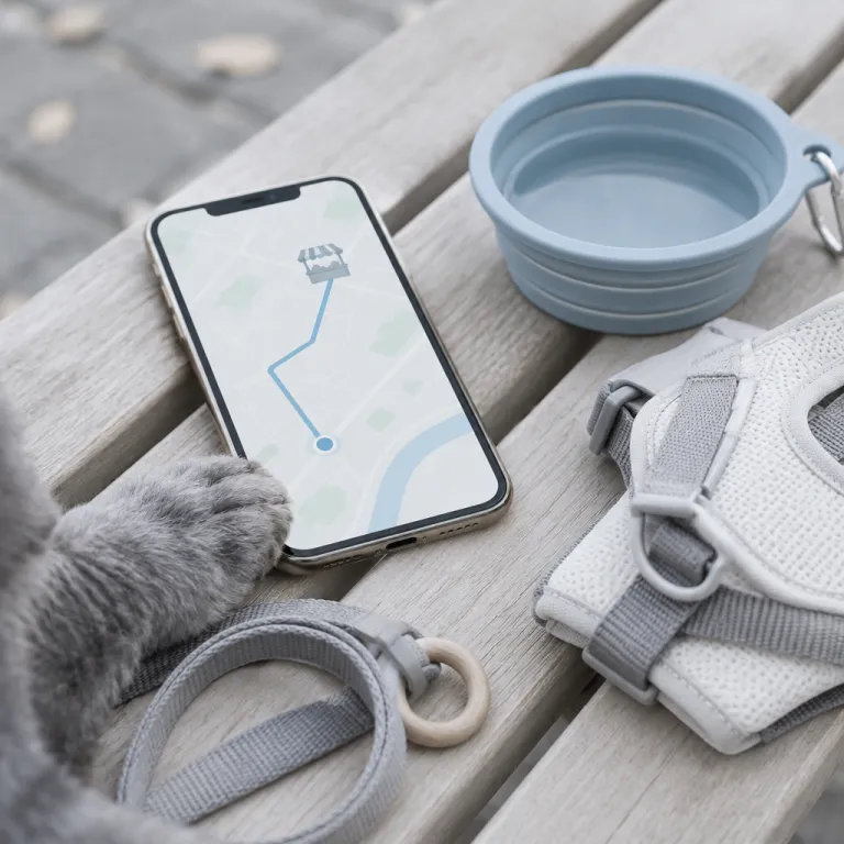 How to use Google Maps to navigate Thanh Khê Tây night market with your pet