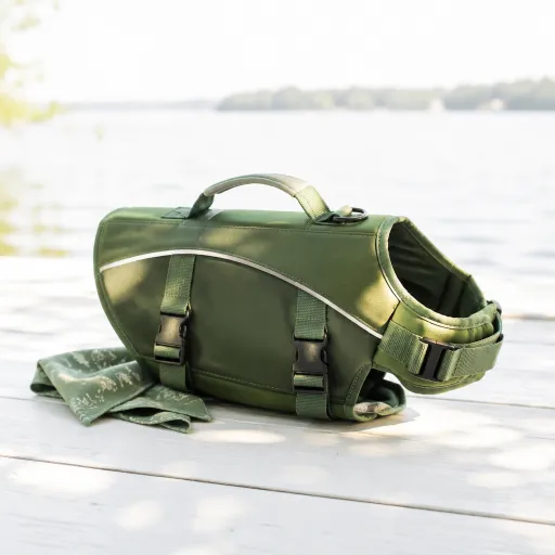 Elegant local escapes: serene places where your dog can safely swim nearby